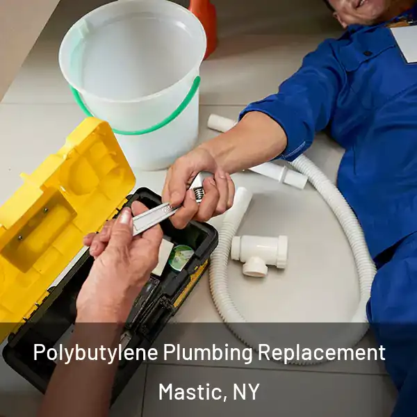  Polybutylene Plumbing Replacement Mastic, NY