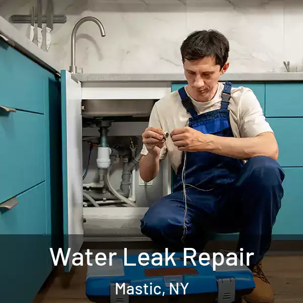  Water Leak Repair Mastic, NY